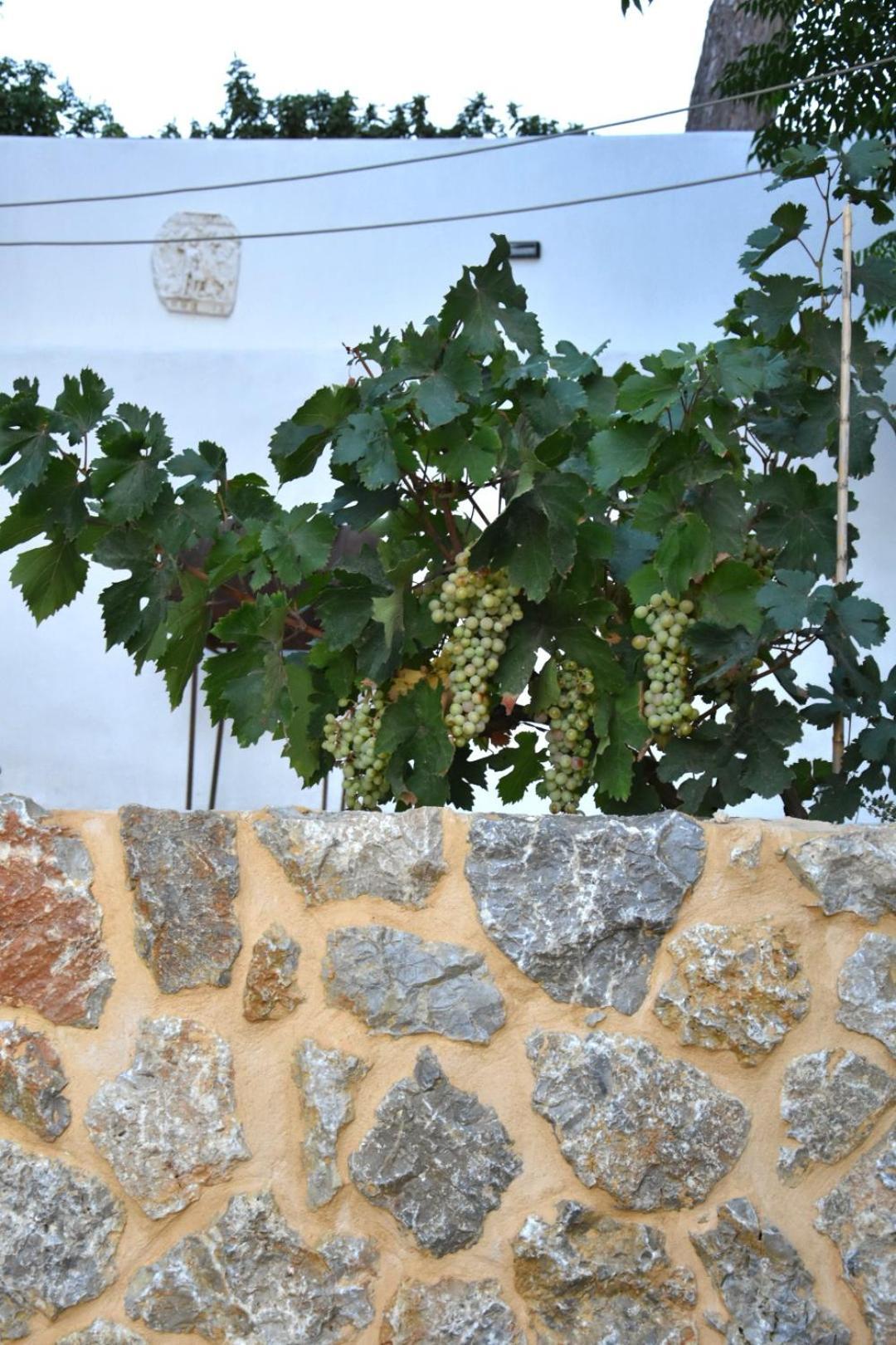 Rustic Private Cottage W/ King Bed In Galanado Naxos Kamer foto